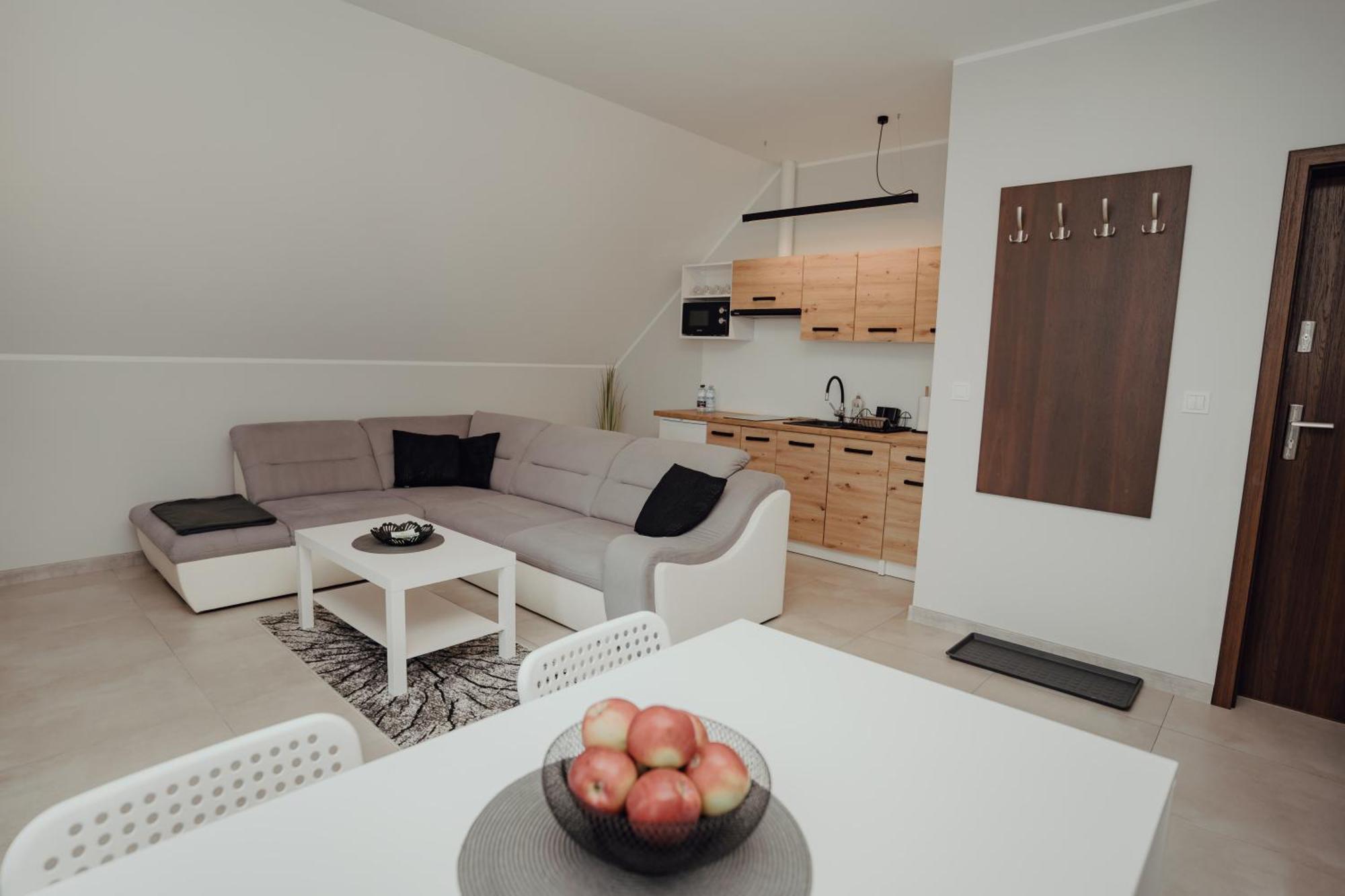 Apartamenty Kaszuba 흐미엘노 외부 사진