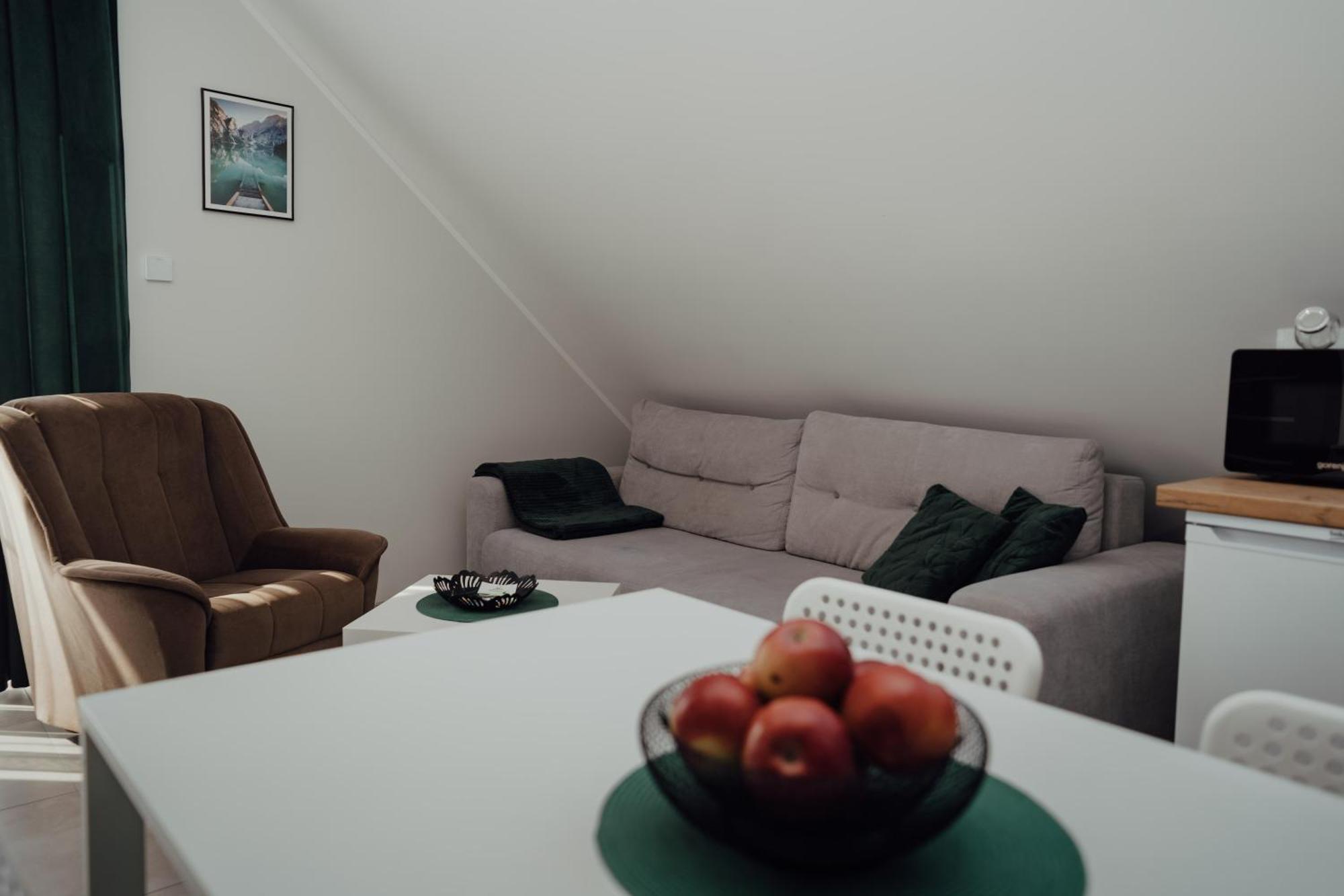 Apartamenty Kaszuba 흐미엘노 외부 사진
